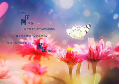 橘月霉运江淮小说全文免费江淮读无弹窗大结局_(橘月霉运江淮)江淮最新章节列表（橘月霉运江淮）