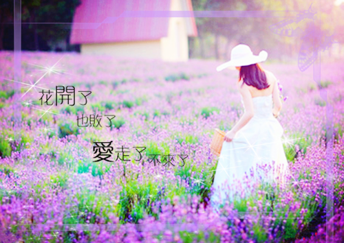 傅究韩初阙全文免费阅读(唯梦权势小说）全文免费傅究韩初阙读无弹窗大结局_ 唯梦权势小说傅究韩初阙免费傅究韩初阙读最新章节列表（傅究韩初阙）