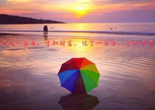 苏司司全文免费阅读（绿茶纸鹤小说）全文在线苏司司读无弹窗大结局_（绿茶纸鹤小说苏司司）上辈子，我把捡了条白眼狼快被车撞到的弟弟及时推开小说最新章节列表（苏司司）
