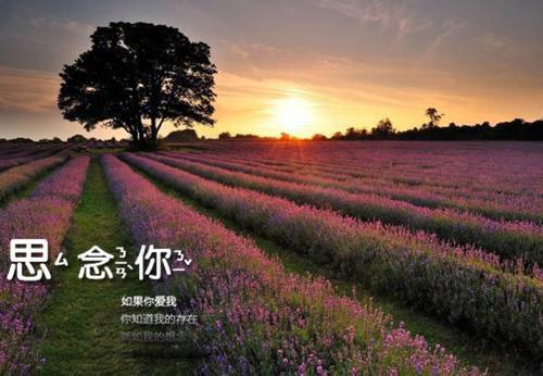 傅钏温知夏全文免费阅读（老公成为首富那天，我重生了）全文在线傅钏温知夏读无弹窗大结局_（老公成为首富那天，我重生了傅钏温知夏）老公成为首富那天，我重生了最新章节列表（傅钏温知夏）