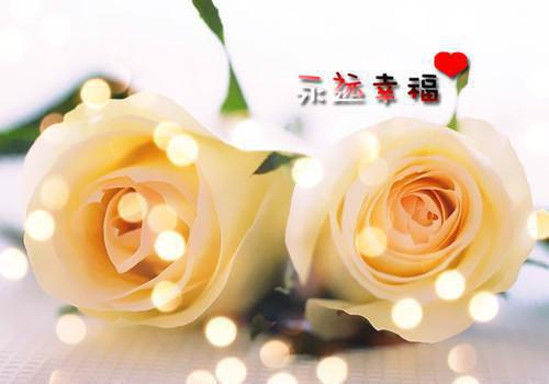 一梦诛心小说全文免费阅读是一梦诛心小说的小说（玄胤青禾）免费阅读_一梦诛心小说玄胤青禾小说免费一梦诛心小说（一梦诛心小说）