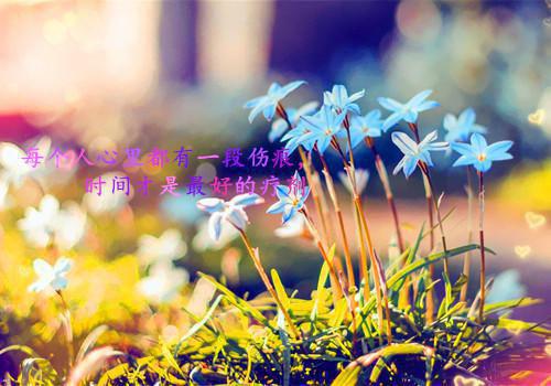 虚荣美梦小说全文免费阅读（刘向刘照宇晓琴）全文免费刘向刘照宇晓琴读无弹窗大结局_(刘向刘照宇晓琴)虚荣美梦小说免费刘向刘照宇晓琴读无弹窗最新章节列表（刘向刘照宇晓琴）