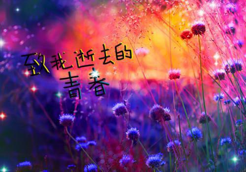 热门小说宦海征途【小说内见】全文免费阅读