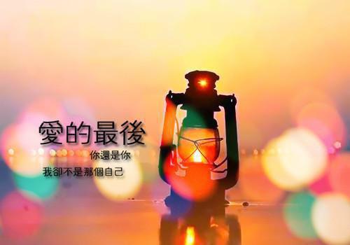 (番外)+(全文)月色引潮汐：全文+后续（夏熙宁江洲白）全文免费阅读无弹窗大结局_月色引潮汐：全文+后续最新章节列表（月色引潮汐：全文+后续）