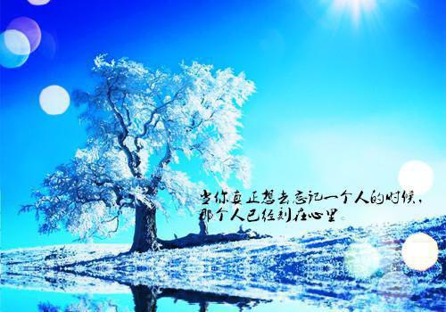 沈殊沈知知元瑾若是什么小说_沈殊沈知知元瑾若小说冰火谋划小说是《冰火谋划小说》