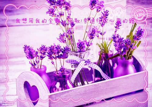 完结版小说詹婧慎舟小说全文免费阅读