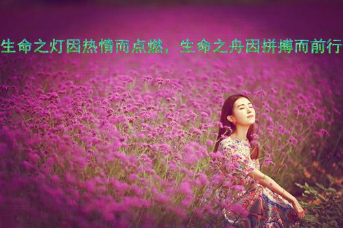 人气小说清清念卿念儿黎清清全文免费试读