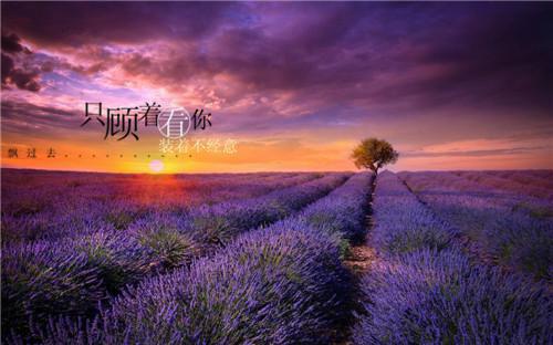 姜箬段亦年小说姜箬段亦年热门小说完整版阅读