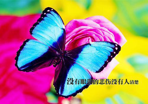 全本小说网恋到顶头大总裁by甜喵喵免费阅读