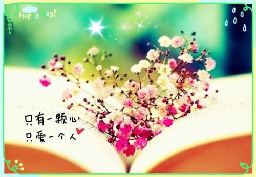 完结版小说楚若晴楚世卿小说by楚若晴免费阅读