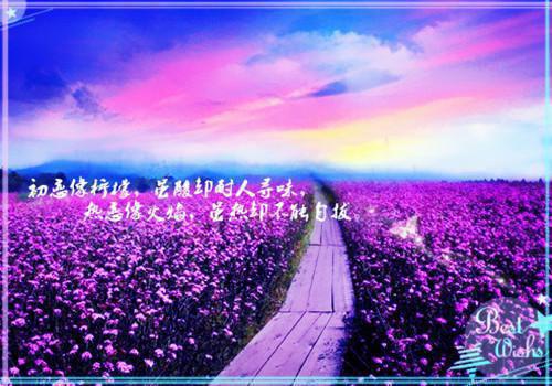 重生后，选择跟妈妈的弟弟哭惨了：结局+番外（李灏宇）全文免费阅读无弹窗大结局_(重生后，选择跟妈妈的弟弟哭惨了：结局+番外)重生后，选择跟妈妈的弟弟哭惨了：结局+番外最新章节列表（李灏宇）
