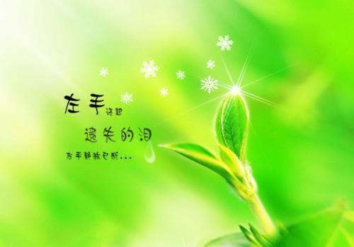 故人归尘土，新燕入画梁：=免费（宋书瑶沈墨言南乔）故人归尘土，新燕入画梁：=免费免费小说_故人归尘土，新燕入画梁：=免费全文阅读