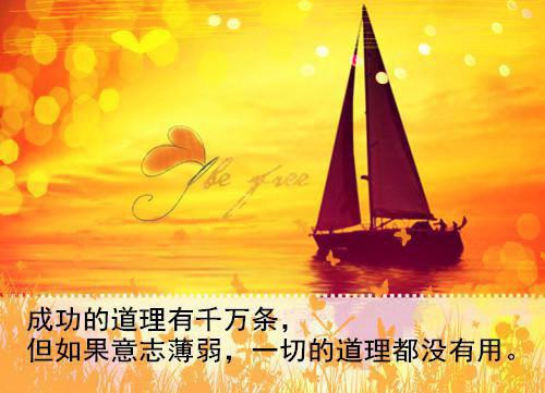 免费小说王者：万场悟道，我暴打主播书名的小说by林曦全章节阅读
