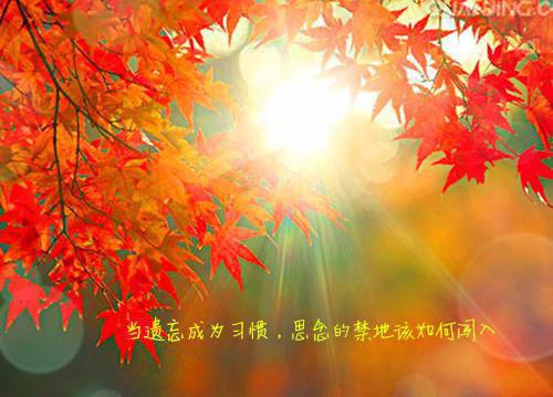 顾语宋昼远全文顾语宋昼远完结版免费试读