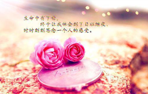 《离婚后绝色师姐缠上我》完结版阅读《离婚后绝色师姐缠上我》最新章节目录