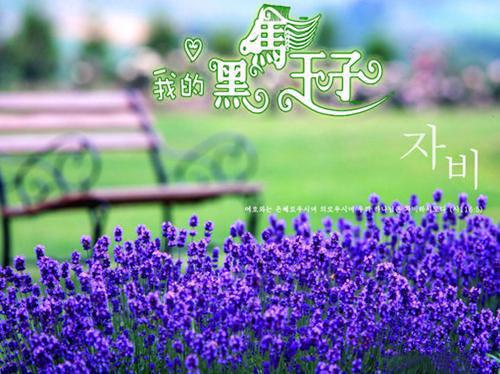 宁三月冥渊「免费小说」宁三月冥渊大结局阅读