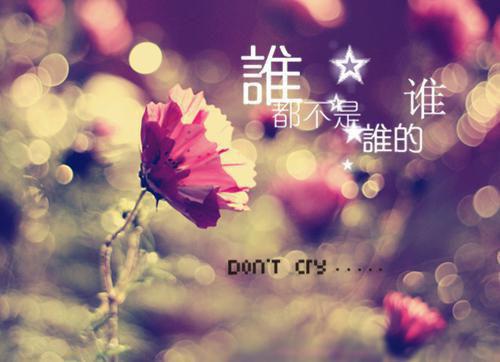 c墨非白言叶温暖全文免费阅读(霸总湿情小说）全文免费墨非白言叶温暖读无弹窗大结局_ 霸总湿情小说墨非白言叶温暖免费墨非白言叶温暖读最新章节列表（墨非白言叶温暖）
