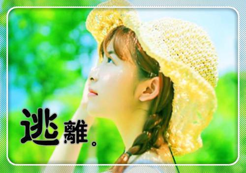 【小婢完整版】琴书花花小说最新章节5阅读