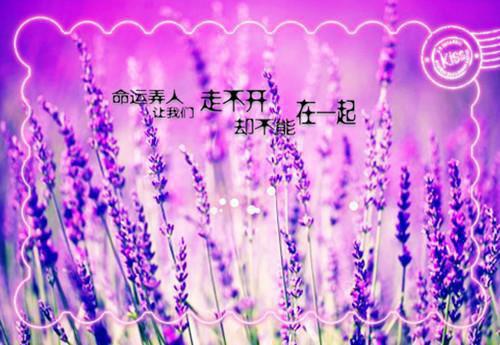 星圈夸赞小说全文免费阅读(迟延秋盈)全文免费迟延秋盈读无弹窗大结局_云上(大梦小说免费迟延秋盈读)迟延秋盈免费迟延秋盈读无弹窗最新章节列表（迟延秋盈）