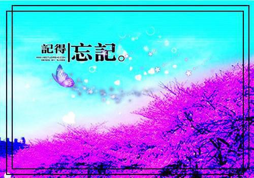 (番外)+(全文)唐浅瑜陆行止：全文+后续（唐浅瑜陆行止）全文免费阅读无弹窗大结局_(唐浅瑜陆行止：全文+后续)最新章节列表（唐浅瑜陆行止）