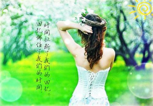 小说古代言情全章节免费阅读