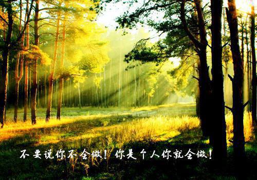心的第七次颤动小说全文(苏砚姜颜)全文苏砚姜颜阅读无弹窗结局_苏砚姜颜+结局最新章节列表（心的第七次颤动小说全文）