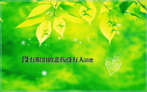 【顾少的天价新娘免费阅读】第8章精彩章节推荐