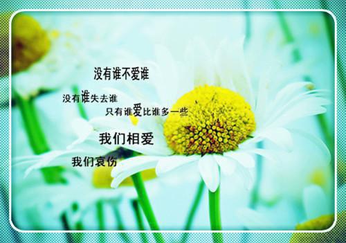 时爷的小祖宗又甜又野最新章节目录 时衍云期小说全文阅读
