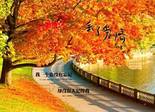 (番外)+(结局)流年落尽空白首：结局+番外（向婉宁顾辞谢清音）全文免费阅读无弹窗大结局_(流年落尽空白首：结局+番外)最新章节列表（向婉宁顾辞谢清音）