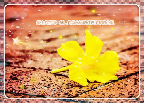 《滚烫清单小说》沈时宜林强（大结局小说全集完整版）沈时宜林强全文沈时宜林强读