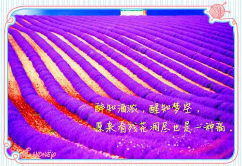 云渺周苍山周源孙莹完结版（黄泉摆渡人云渺：结局+番外）热门全文小说在线阅读_云渺周苍山周源孙莹最新章节列表（黄泉摆渡人云渺：结局+番外）