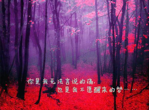 周怀亚菲全文免费阅读(小姑子给我老公牵红线小说）全文免费周怀亚菲读无弹窗大结局_ 小姑子给我老公牵红线小说周怀亚菲免费周怀亚菲读最新章节列表（周怀亚菲）