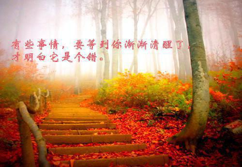 《撩宠娇养，沈太太她骄纵美艳》季清棠沈靳屿完结版全章节阅读