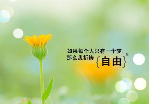 姜晚梨陆御宸热门小说（姜晚梨陆御宸）免费试读