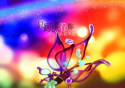 意欢荣嘉言全文免费阅读（意欢荣嘉言金丝在逃小说）全文在线意欢荣嘉言读无弹窗大结局_（意欢荣嘉言金丝在逃小说意欢荣嘉言）意欢荣嘉言金丝在逃小说最新章节列表（意欢荣嘉言）