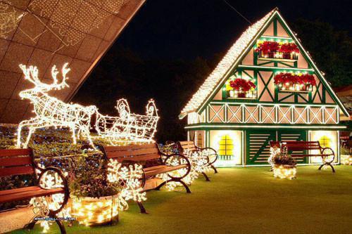 不做骨髓库：嫡女归来，打脸全家苏晚晚林国栋小说全文免费阅读_（不做骨髓库：嫡女归来，打脸全家）苏晚晚林国栋最新章节列表（不做骨髓库：嫡女归来，打脸全家）