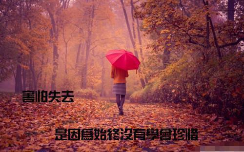 徐蔓莉雷厉骁全文阅读_雷厉骁徐蔓莉小说免费阅读