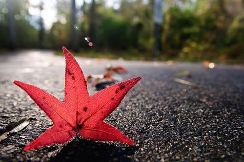 月梦感慨小说全文免费阅读(莳一魏珩)全文免费莳一魏珩读无弹窗大结局_云上(大梦小说免费莳一魏珩读)莳一魏珩免费莳一魏珩读无弹窗最新章节列表（莳一魏珩）