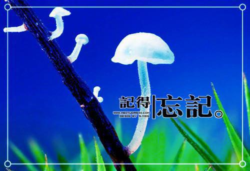 《事事顺意》全篇免费阅读第八章摸鱼初体验