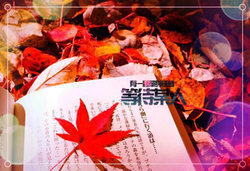 面对不公，我选择摆烂小说全文免费阅读(陆婷徐晓梅）小说全文免费陆婷徐晓梅读无弹窗大结局_（陆婷徐晓梅）面对不公，我选择摆烂小说小说全文免费陆婷徐晓梅读最新章节列表（陆婷徐晓梅）