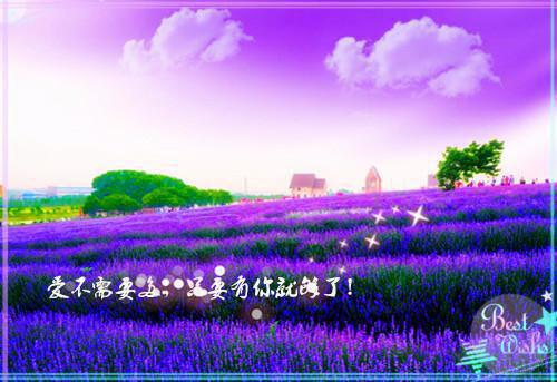 全章节小说回不去的爱情主角为季子寒江许阅读