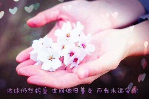 雪落再说爱你：全文+后续+结局（宋南夕周京泽）小说免费阅读无弹窗大结局_雪落再说爱你：全文+后续+结局最新章节