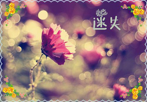 赵晚顾璟在线顾璟赵晚小说最新章节免费阅读