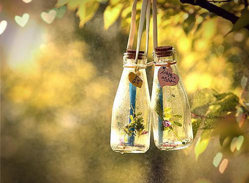 完结故梦依稀入画来崔扶楹谢濯全章节阅读