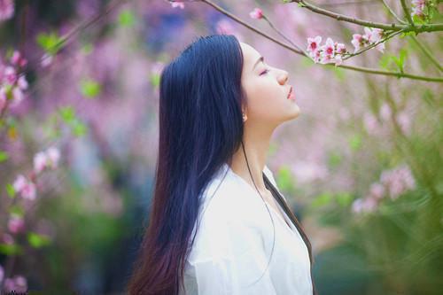 老婆为了哄白月光开心，不顾我过敏谢嘉衍洛知知全本免费小说目录试读