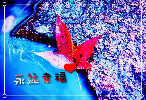 俞霜夏洛洛全文免费阅读（碎银反杀）全文免费俞霜夏洛洛读无弹窗大结局_（碎银反杀俞霜夏洛洛）碎银反杀最新章节列表（俞霜夏洛洛）