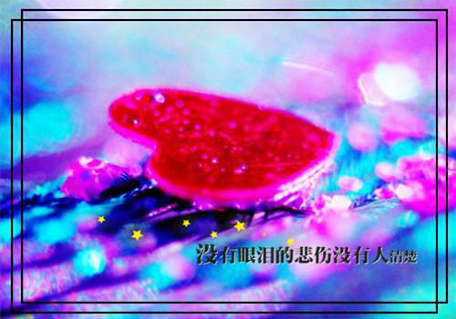 独家小说《宋南夕周京泽》雪落再说爱你：全文+后续全文免费阅读无弹窗_雪落再说爱你：全文+后续最新小说无广告（宋南夕周京泽）