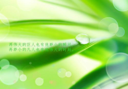 (愿你不染人间愁傅慎川：结局+番外)全文傅慎川沈兮棠阅读无弹窗结局_愿你不染人间愁傅慎川：结局+番外+结局最新章节列表（傅慎川沈兮棠）