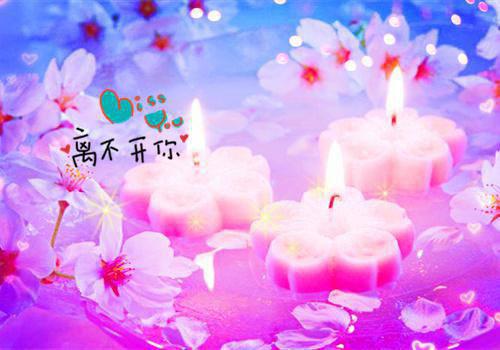 一梦重生，与君长念：全章+后续（宋枝雪江妄舟）全文免费阅读无弹窗大结局_（宋枝雪江妄舟）一梦重生，与君长念：全章+后续最新章节列表（宋枝雪江妄舟）