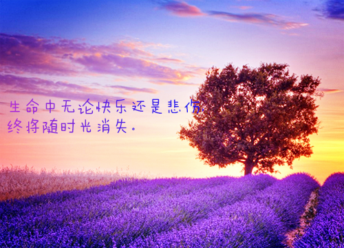 薛识则姜桉全文免费阅读（雨临花梦小说）全文免费薛识则姜桉读无弹窗大结局_薛识则姜桉全文免费薛识则姜桉读（雨临花梦小说）最新章节列表（薛识则姜桉）